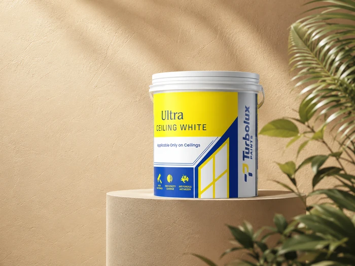 Ultra Ceiling White paint pack